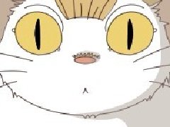 月影猫