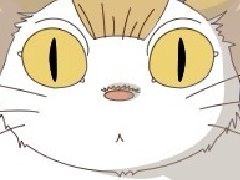 月影猫选关版