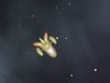 宇宙大海盗