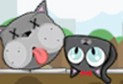 生气的猫咪