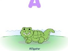 动物ABC