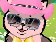 打扮酷酷猫咪