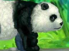 快乐熊猫