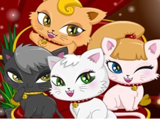 小猫咪日托所