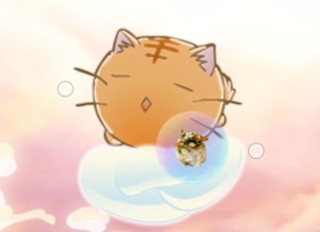 小猫咪吃寿司