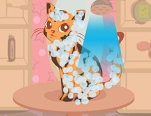 可爱猫咪护理