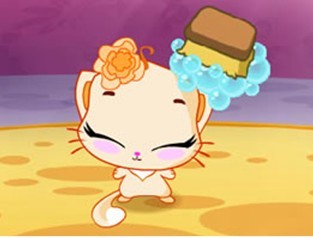 美丽的小仙宠