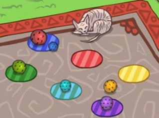 斯芬克斯猫