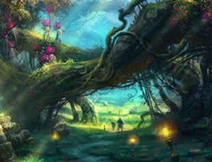 梦幻森林寻物