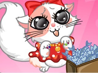 打扮可爱小猫