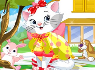 小花猫也爱美