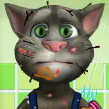 凌乱的汤姆猫