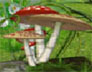 蘑菇村庄逃脱