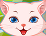 小猫小狗沙龙