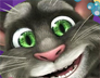 照顾汤姆猫