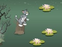 猫和老鼠过小河